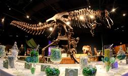 Orlando Science Center