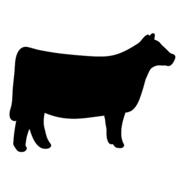 Cattle Fund