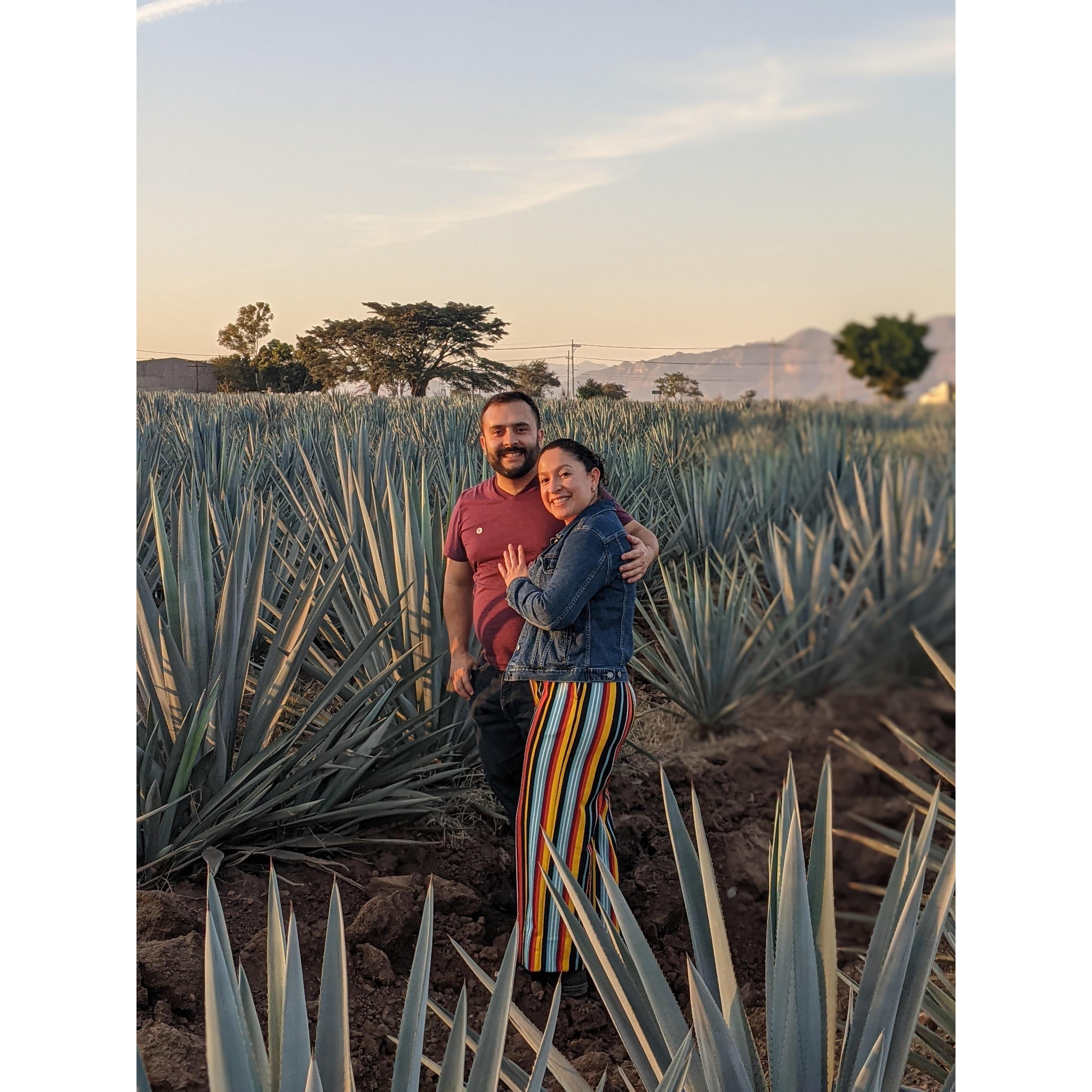 Our first trip to Tequila!