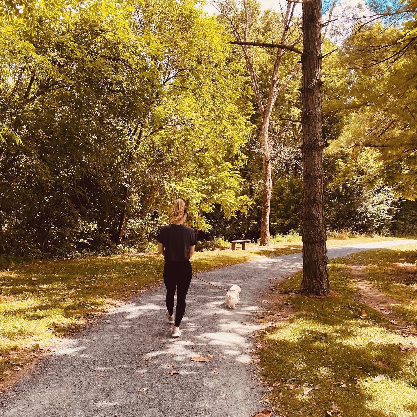 Long walks at the Wyomissing trails