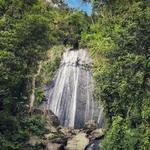 El Yunque National Forest