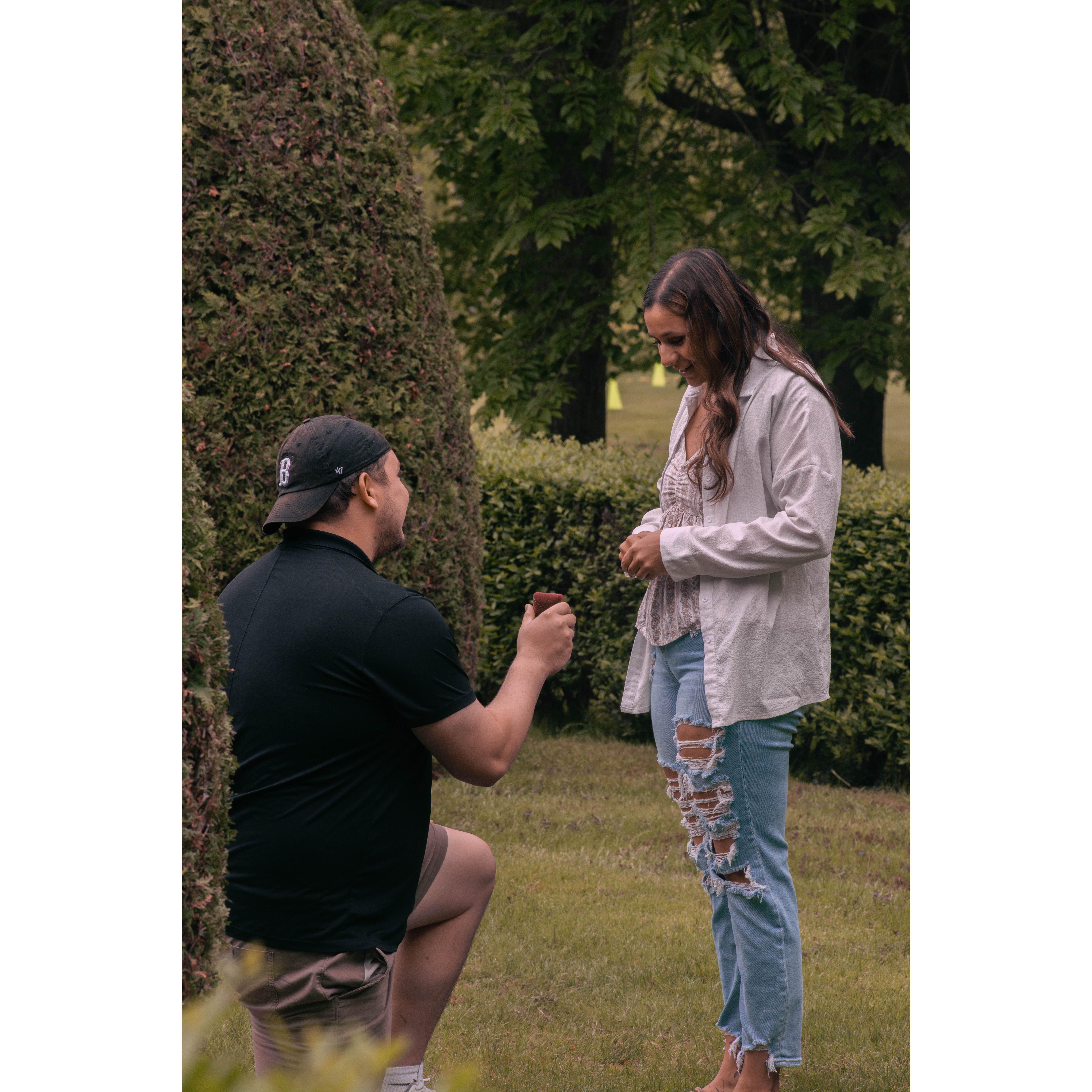 Andrew proposed in Newport, Rhode Island, on May 17th, 2025