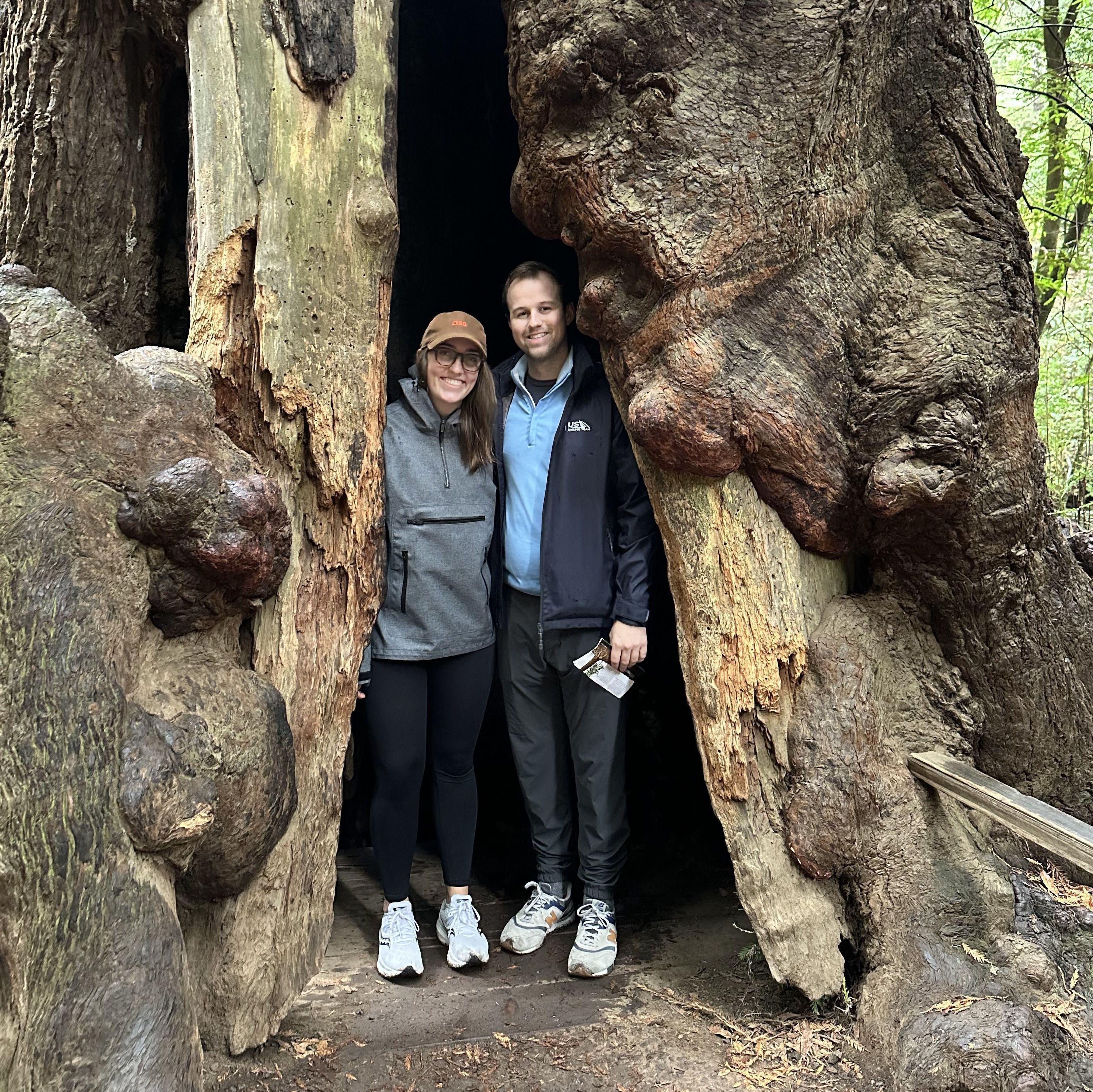 Muir Woods, California (2023)