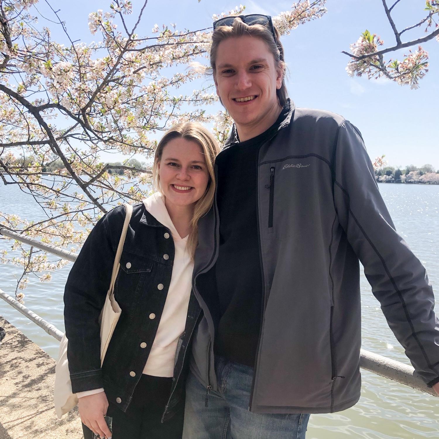 Cherry Blossoms in DC