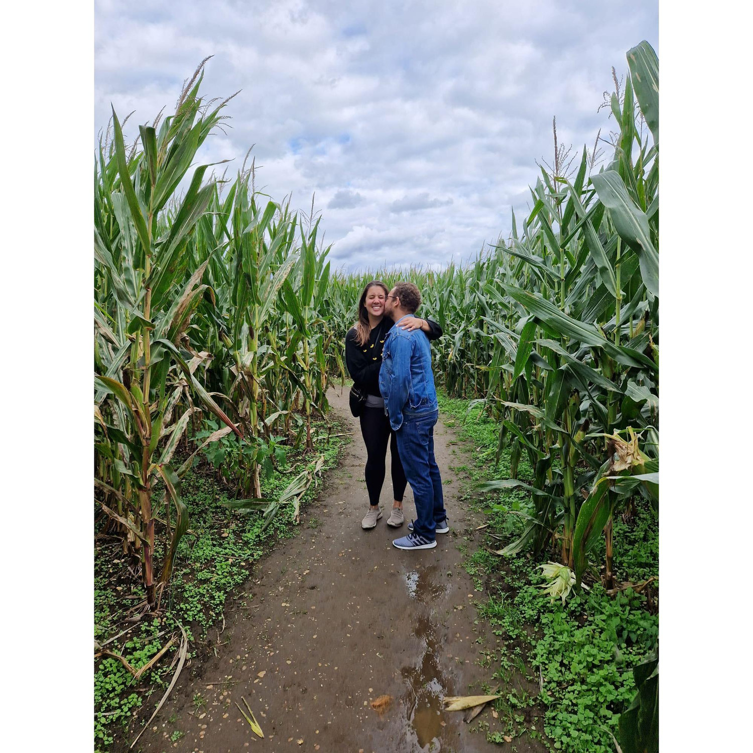 Lost in the corn maze