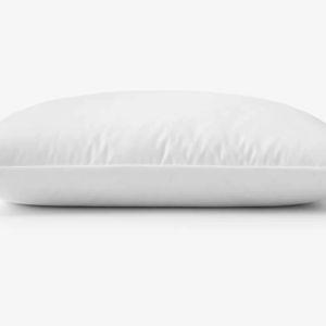 Best Down Premium Pillow