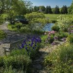 Cox Arboretum MetroPark