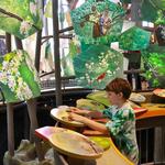 Robinson Nature Center
