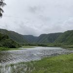 Pololu Valley Lookout Hike