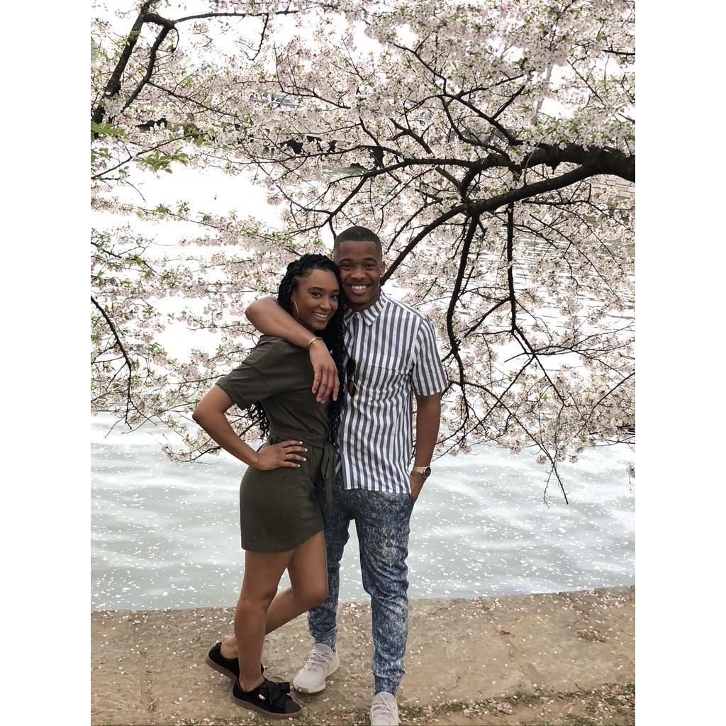 Cherry Blossom festival 2019.
