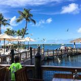 Islamorada Fish Company