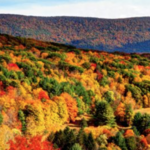 Mount Greylock State Reservation