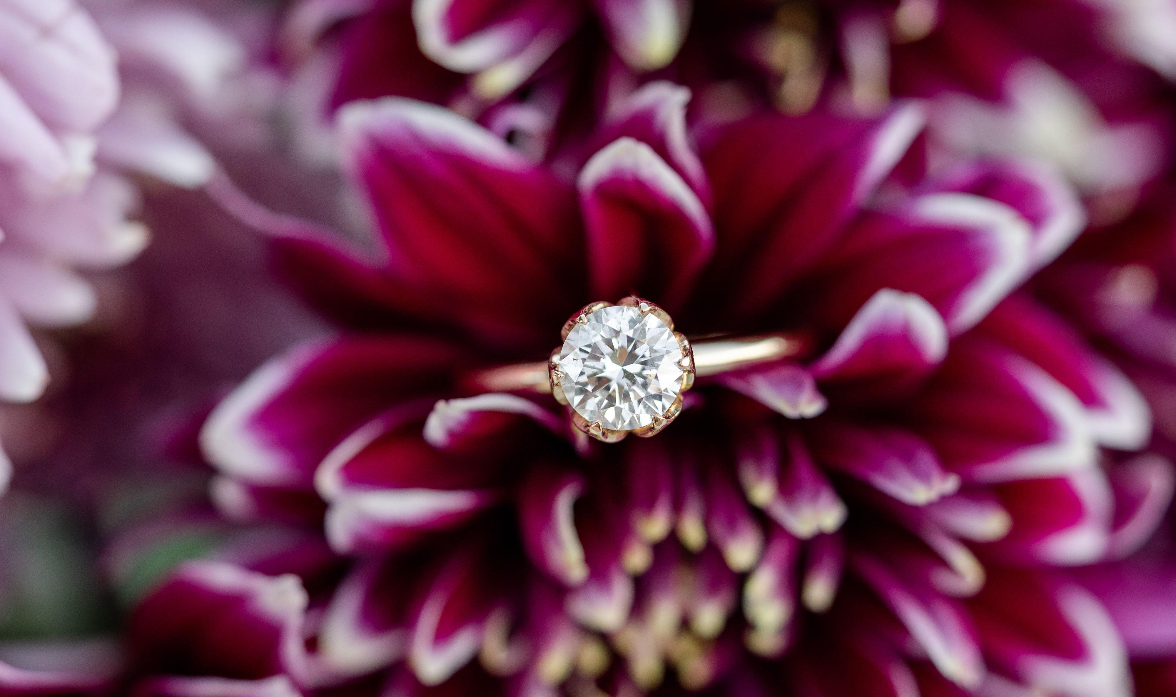 The Wedding Website of Jeanne Marie Farnet and Matthew Fletcher