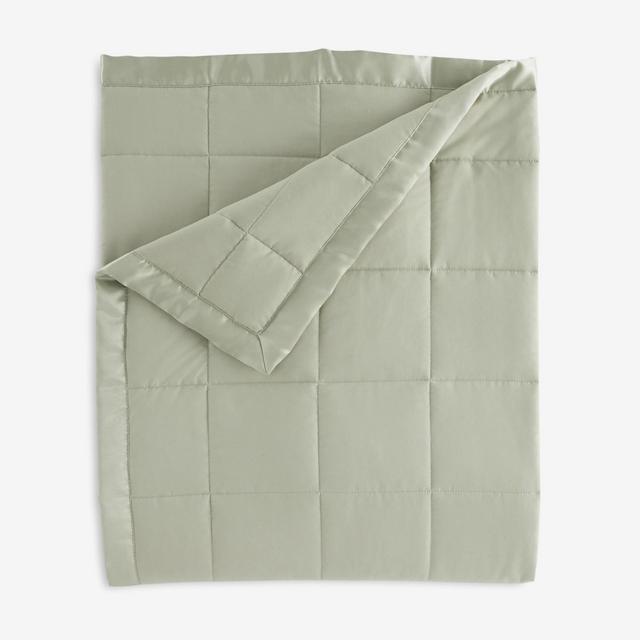 BrylaneHome Down-Alternative Blanket - King, Sage Green