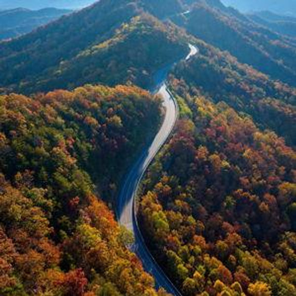 Honeymoon Road Trip