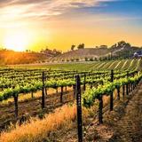 Temecula Wine Country
