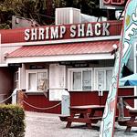 The Shrimp Shack