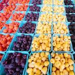 Bellingham Farmers Market