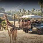 San Diego Zoo Safari Park