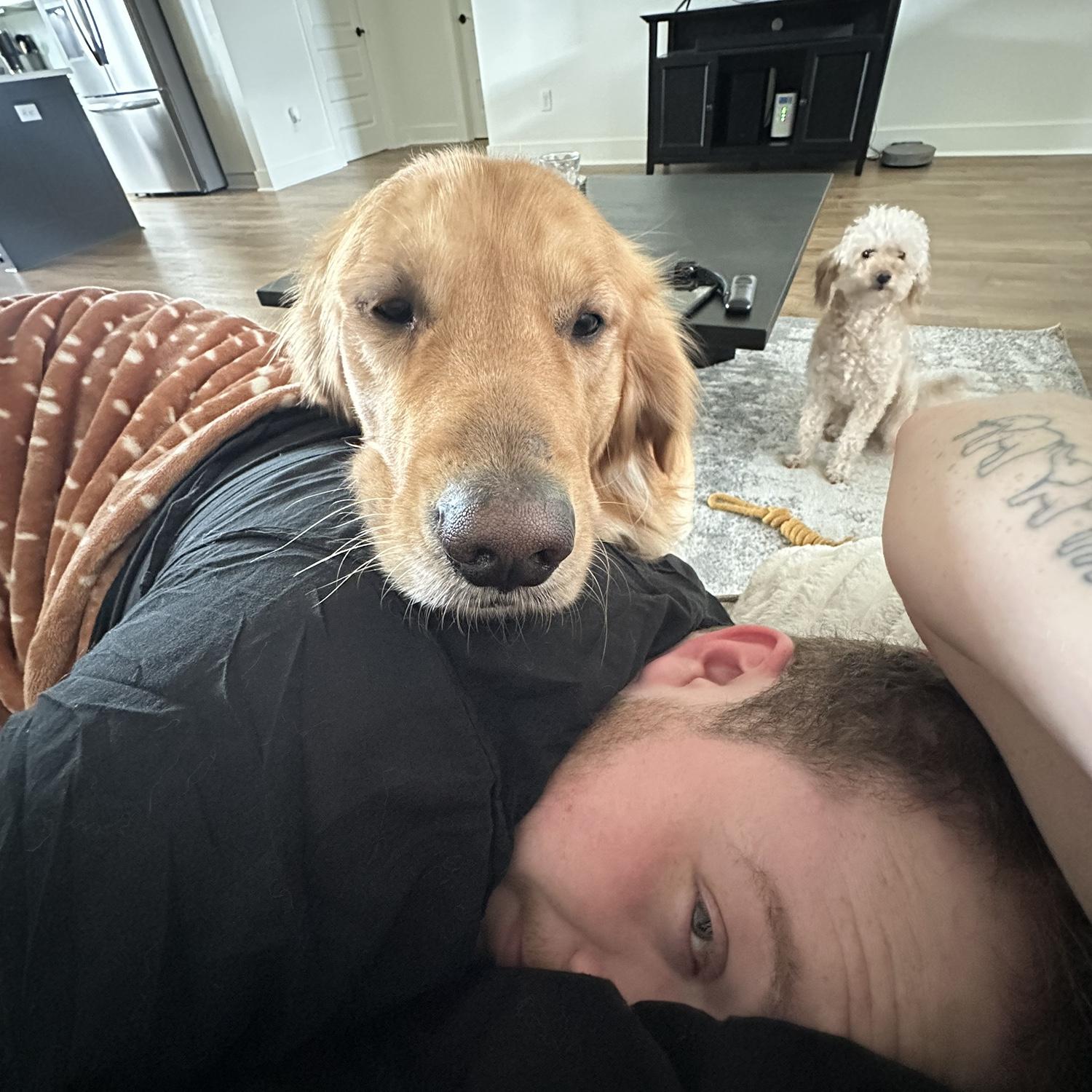 The dogs think they run the house!