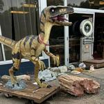 Geoscape Rock Shop