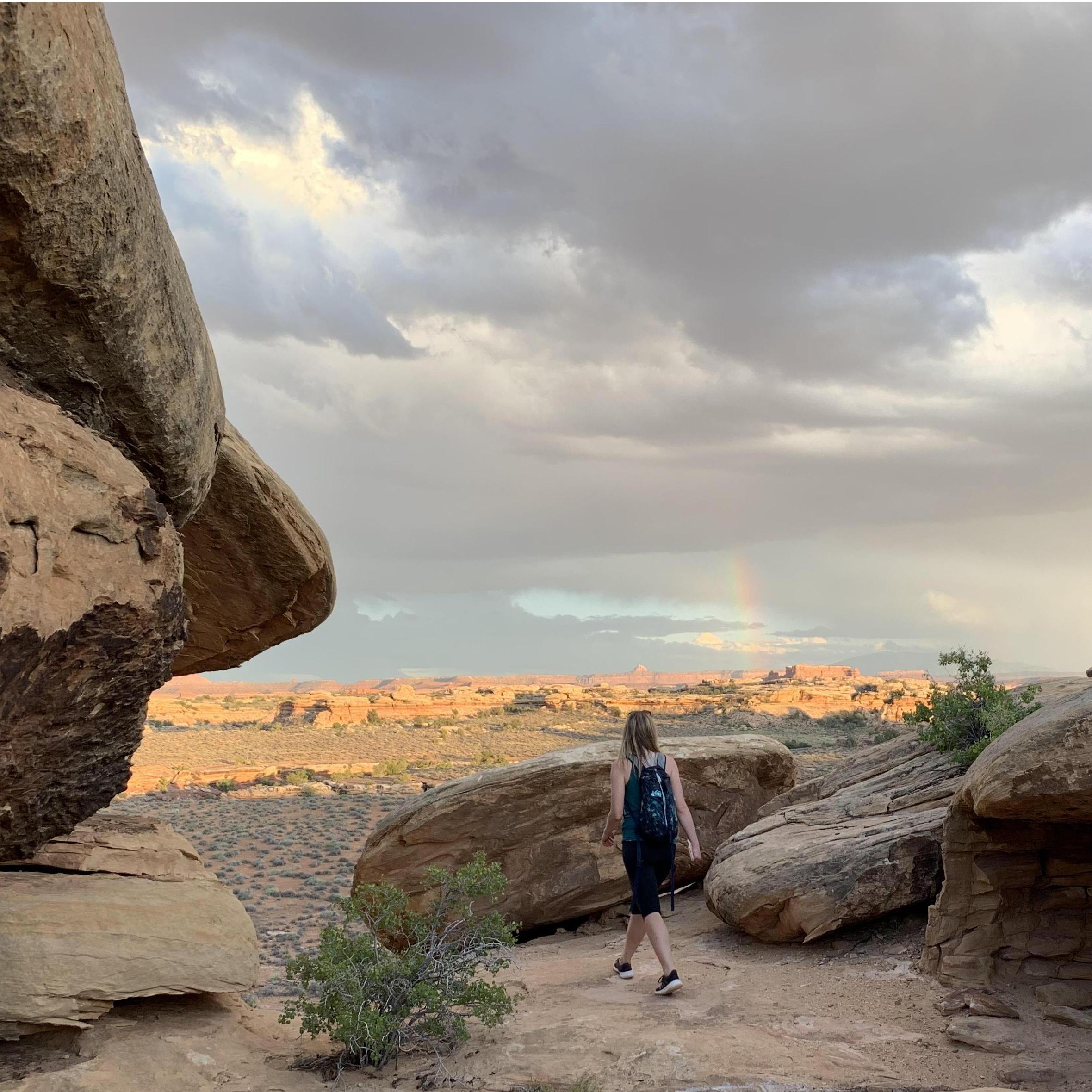 Found the pot-o-Sav. The rainbow briefly merged with the rain before passing it. Rude.