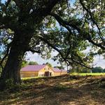 Honker Hill Winery