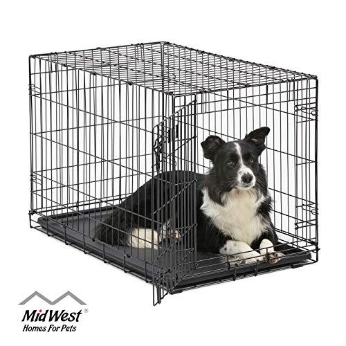 MidWest Homes for Pets Dog Crate | iCrate Single Door & Double Door Folding Metal Dog Crates | Fully Equipped
