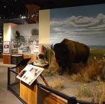 Kansas Museum of History