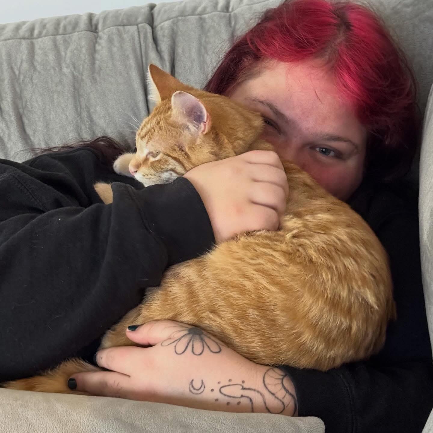 I love the cats so much and we dubbed me their long distance cat mother.