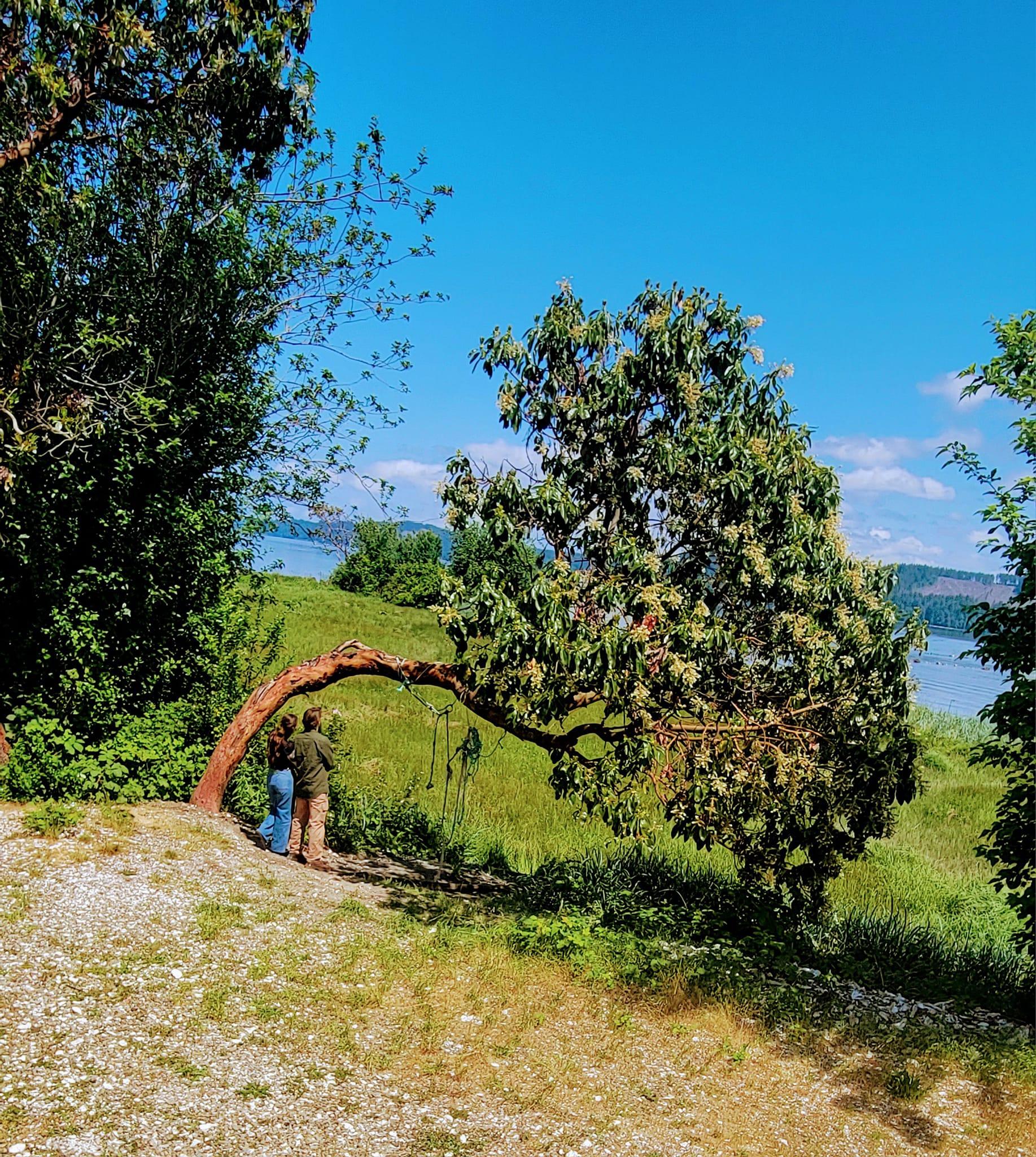 The Wedding Website of Anna Seiler and Thomas Schaut