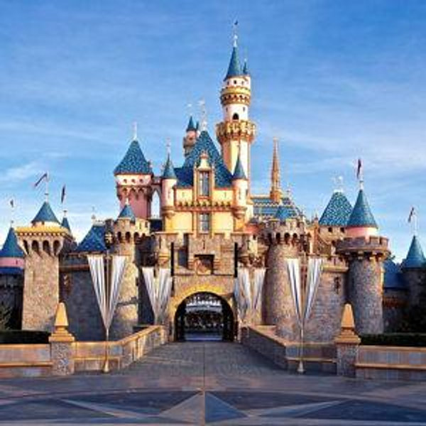 Disney Pass Fund