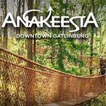 Anakeesta