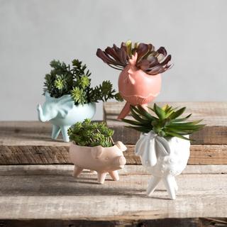 Rooster Planter