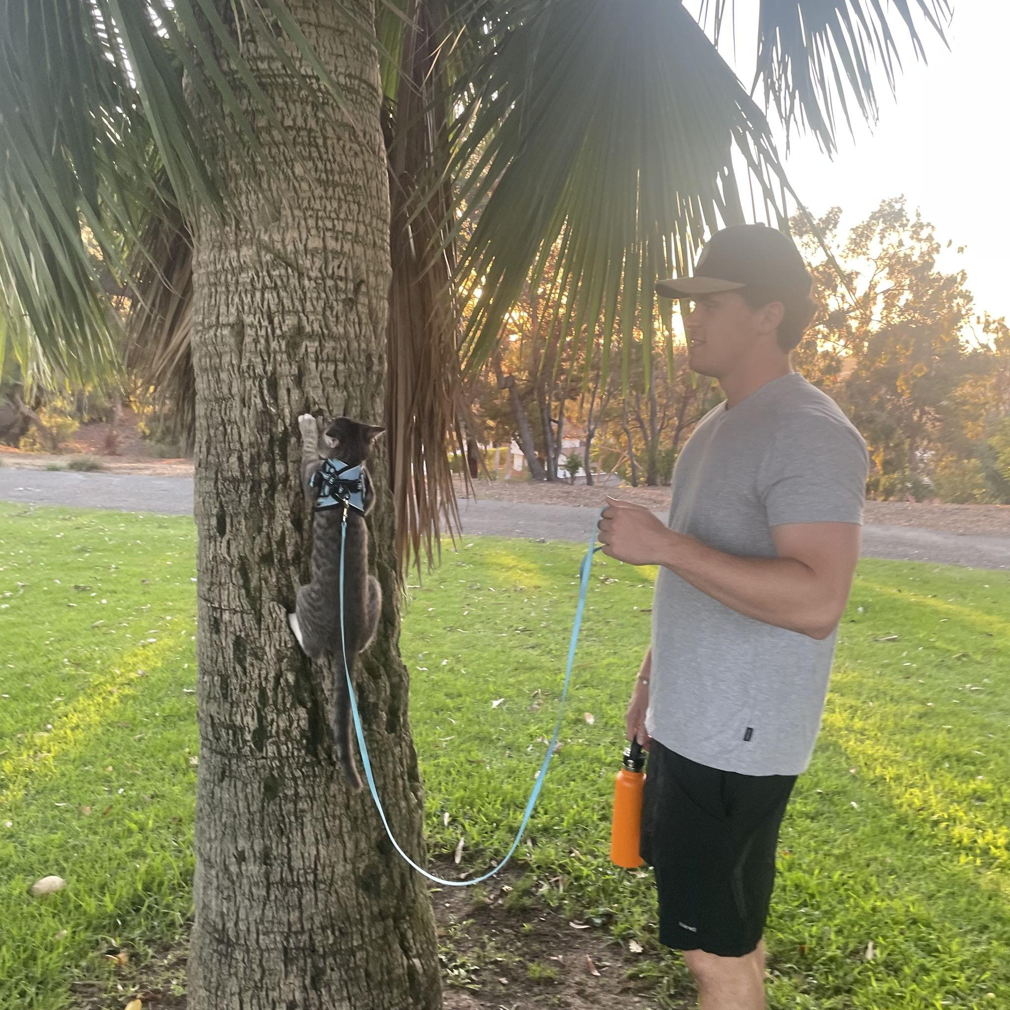 September 2022 - Luna loves to show off her climbing her skills with her dad!