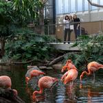 National Aviary