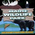 Maine Wildlife Park