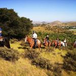 Horseback Riding