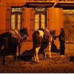 Horseback Riding, Adventure Tours