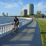 Bayshore Boulevard