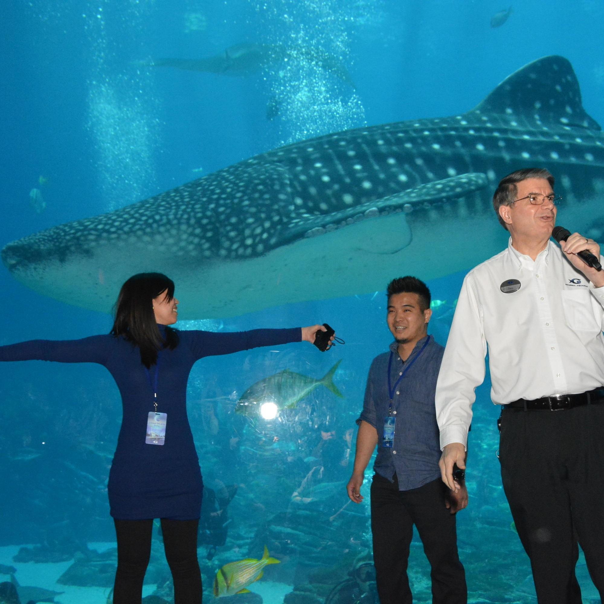 Our proposal at the Georgia Aquarium, with assistance by the scuba divers and the whale sharks! (February 2019)
To watch the proposal, copy and paste the following link: https://youtu.be/EPNZ25wqqT8