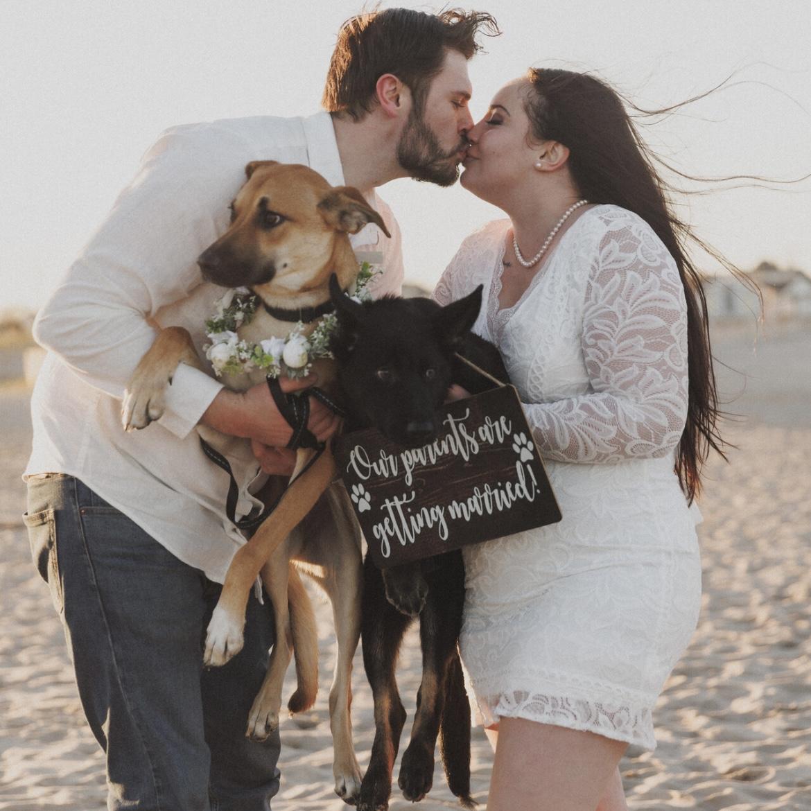 Stella and Heineken can’t wait for the big day!