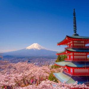 Japan Honeymoon Fund