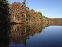 Go for a hike at Heald Tract