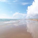 South Padre Island . Mexican Wedding