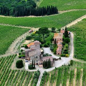 Full Day Montepulciano Wine Tour