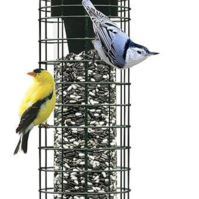 Brome Squirrel Solution 150 Squirrel-Proof Bird Feeder w/4 Stainless Steel perches, 2.6lbs Seed Capacity, Seed Funnel Included