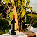 CHIANTI WINE TOUR