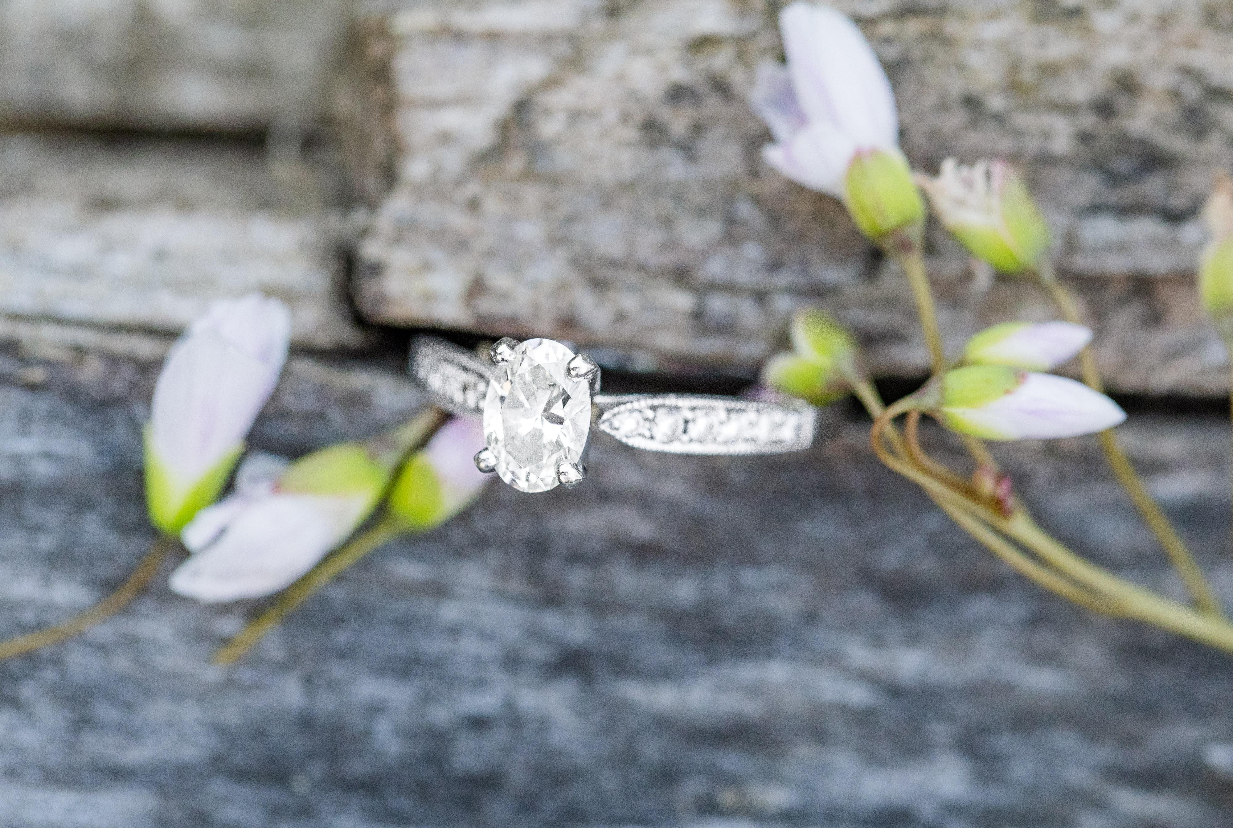 The Wedding Website of Nicholas Bischoff and Maria Gerber