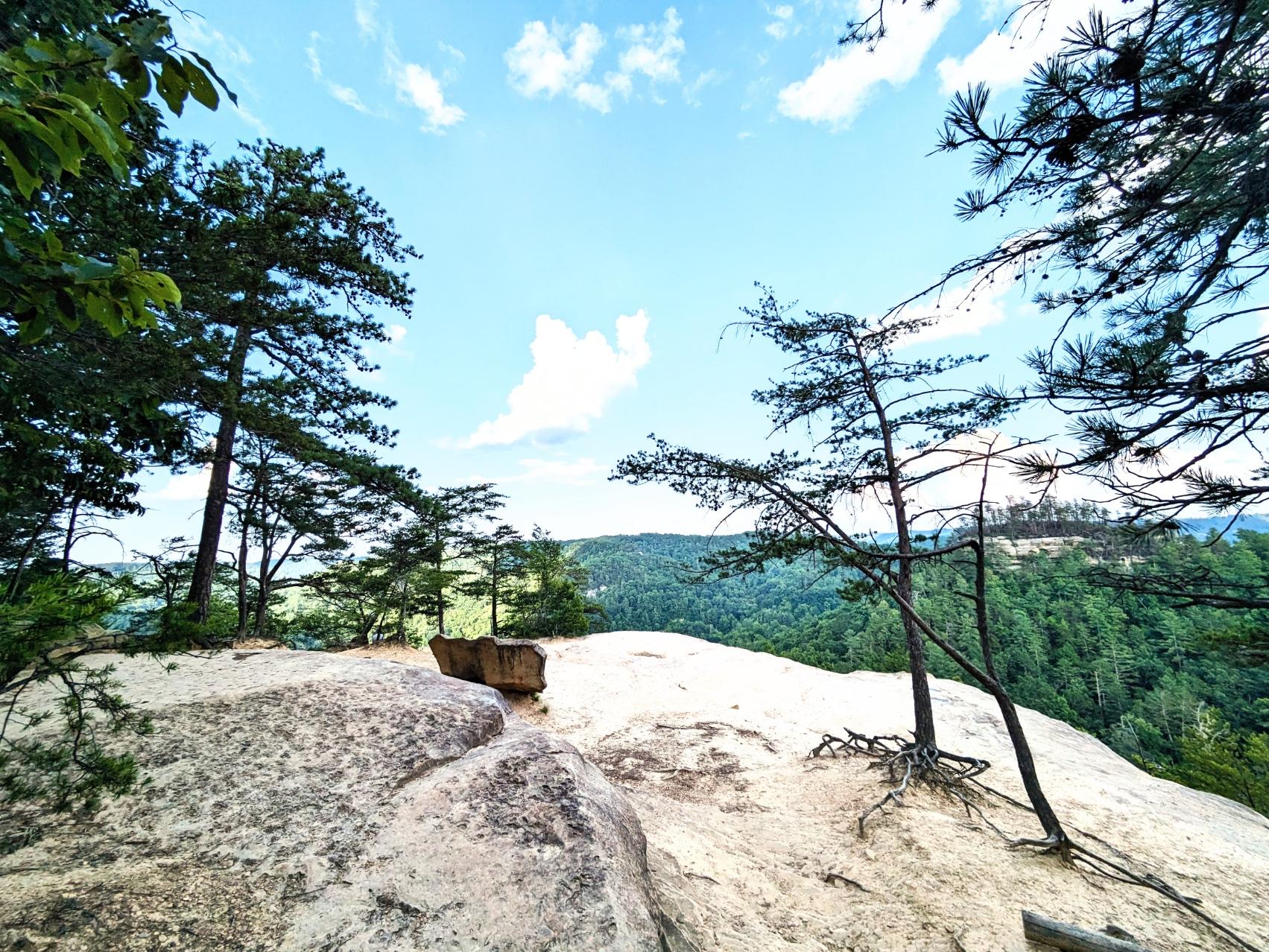 The Wedding Website of Moriah Wilbur and Elijah Hicks